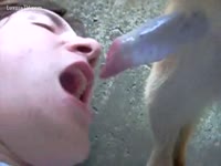 Bestiality Movie - Sperm loving stud awaiting for a load in this beastality movie scene